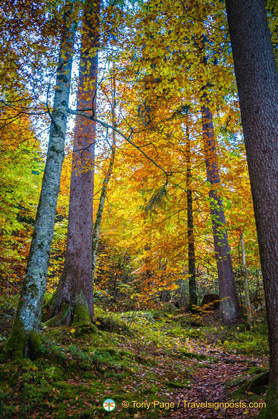 Nature reserve