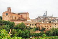 Skyline of Siena