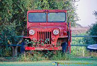 A red Jeep
