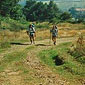 wwalking-holidaya