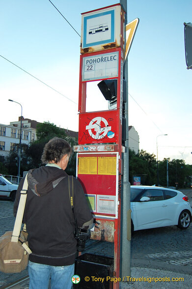 Tony checking out the bus information