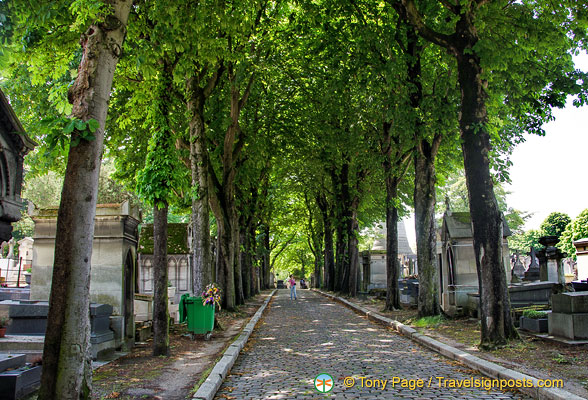 The paved avenue of Père-Lachaise 