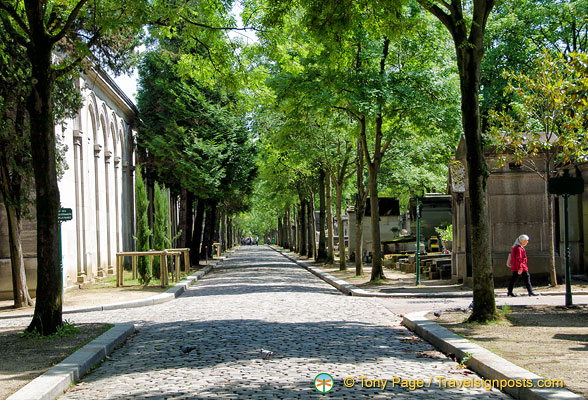 Tree-lined avenue of Père-Lachaise 