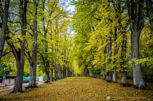 Changing colours along Dinkelsbühl Alte Promenade