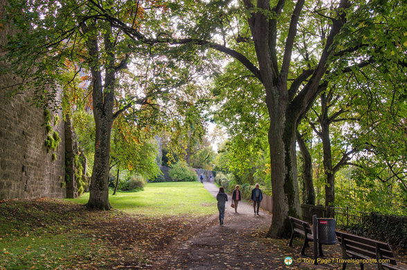 Scenic walk