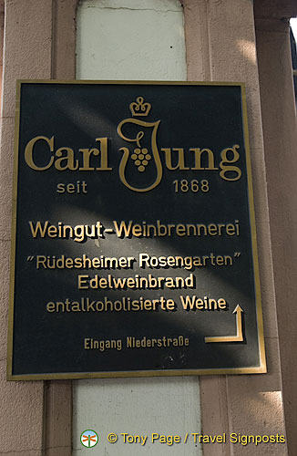 Plaque commerating Carl Jung[Rudesheim - Rhine River Cruise - Germany]