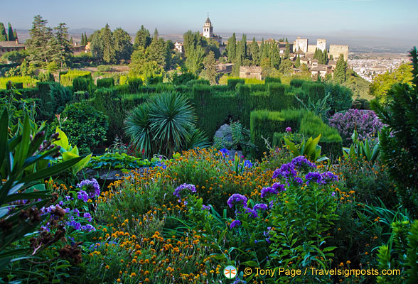 Generalife garden view