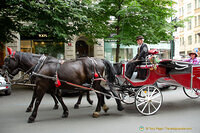 Horse and carriage sightseeing