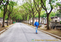 The tree-lined avenues of  Cimetière Montparnasse