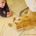 This little guy prefers the company of the cats at Neko Cafe