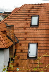 Roof with views