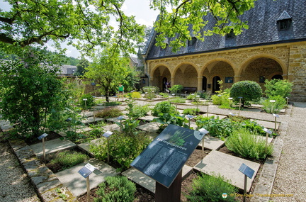 Orval's medieval medicinal herb garden