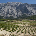 Bosnia-Herzegovina (3267 odwiedzin) Bosnia-Herzegovina