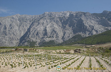 Bosnia-Herzegovina