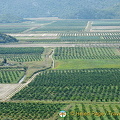 Bosnia-Herzegovina (1775 besök) Bosnia-Herzegovina