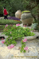 The Botanical Gardens and Queen Marie's Palace, Balchik, Bulgaria