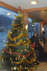 Rhine River Cruise in Winter