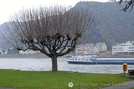 Rhine River Cruise in Winter