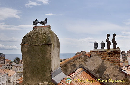 City Wall - Having a bird's eye view