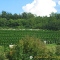 Karlovac - Croatia - Beautiful countryside