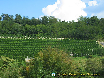 Karlovac - Croatia - Beautiful countryside