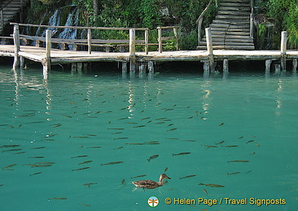 Plitvice Lakes National Park, Croatia