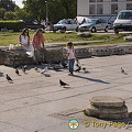 Zadar - Croatia - Pidgeon feeding
