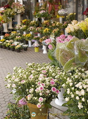 Flower shop Flower Square (Preradovicev Trg) 