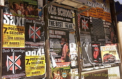 DSC_1302.jpg