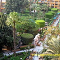 [Marriott Hotel - Cairo - Egypt]