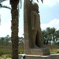 In the garden can be found more statues of Rameses II.
[Temple of Ptah - Mit Rahina village - Memphis - Egypt]