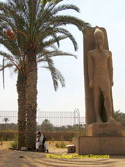 [Temple of Ptah - Mit Rahina village - Memphis - Egypt]