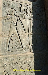 [Temple of Luxor - Egypt]