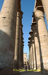 [Temple of Luxor - Egypt]