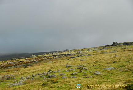 Dartmoor National Park