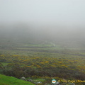Dartmoor National Park