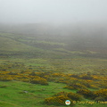 Dartmoor National Park