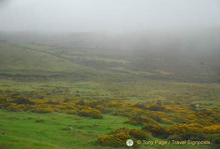 Dartmoor National Park