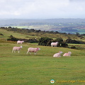 Dartmoor National Park