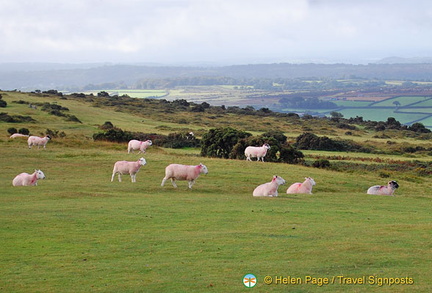 Dartmoor National Park