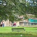 Glastonbury Abbey grounds