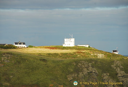 Lizard Point