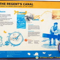 About the Regent's Canal (1394 visits) Regent's Canal, Islington, London About the Regent's Canal