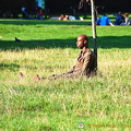 Enjoying the sun in Kensington Gardens