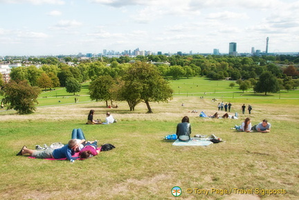 Nice park to enjoy a sunny Sunday afternoon