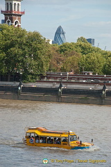 The amphibian London Duck