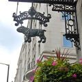 DSC 2646