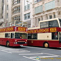 Sightseeing buses