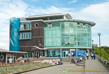 National Marine Aquarium