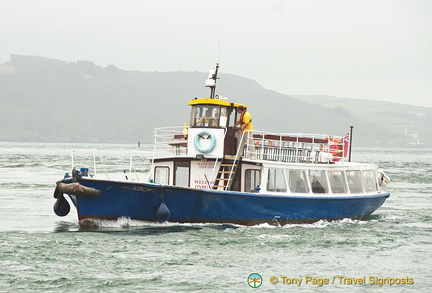 One of the many river cruise boats